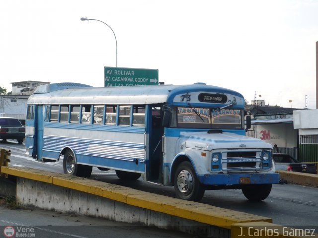 Transporte Colectivo Palo Negro 73 por J. Carlos Gmez