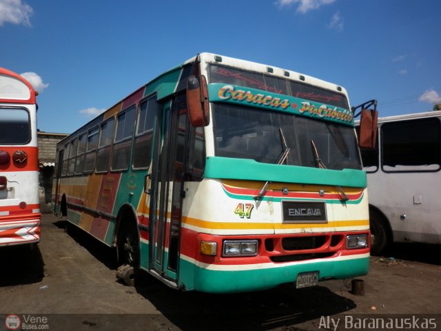 Cooperativa Canaima 47 por Aly Baranauskas