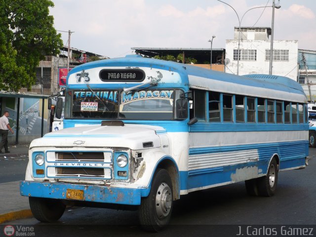 Transporte Colectivo Palo Negro 73 por J. Carlos Gmez