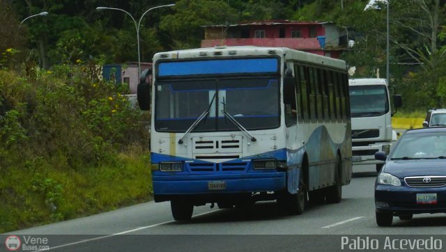 Particular o Desconocido 387 por Pablo Acevedo