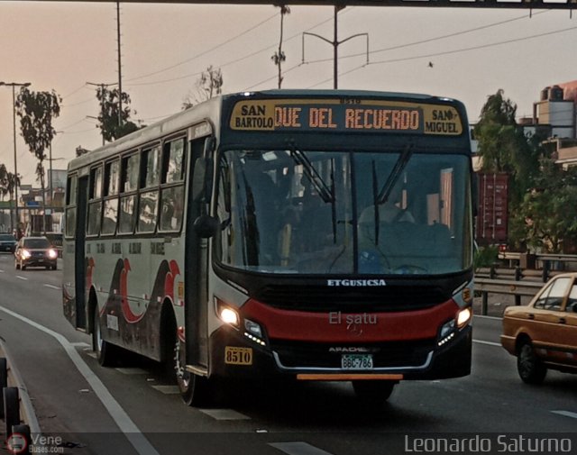 E.T. y Servicios Guadulfo Silva Carbajal 038 por Leonardo Saturno