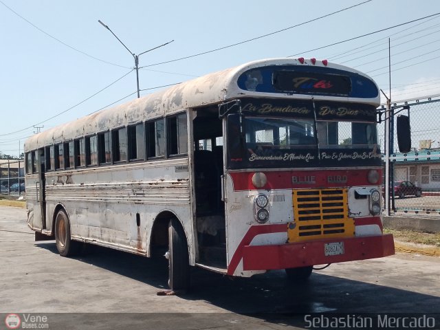 Colectivos Tul C.A. 06 por Sebastin Mercado