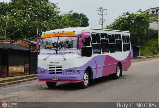 TA - A.C. L�nea Intercomunal 59 por Jerson Nova