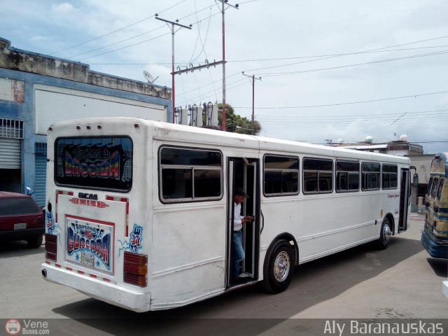 Transporte Guacara 0037 por Aly Baranauskas