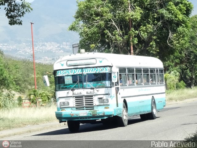 Expresos Bolivarianos 41 por Pablo Acevedo