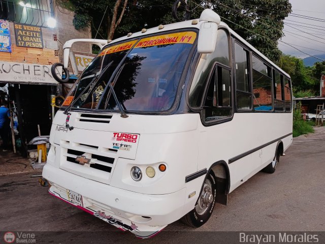 TA - A.C. L�nea Intercomunal 20 por Jerson Nova