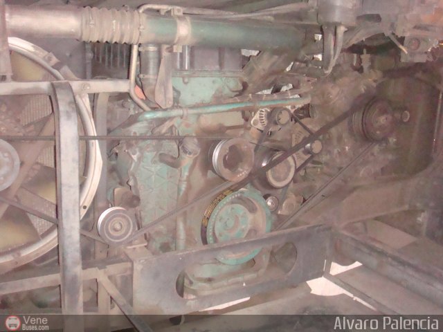 Expresos Los Llanos 268 por Alvaro Palencia