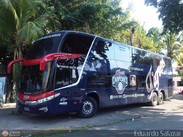 Tigres de Aragua B.B.C. 01 por Eduardo Salazar