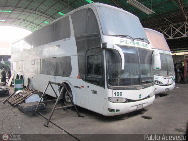 Expresos Flamingo 0100 por Pablo Acevedo