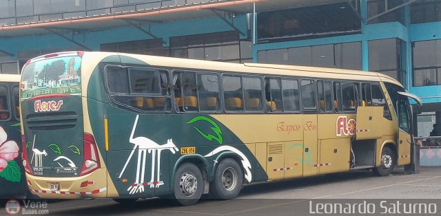 Transporte Flores Hermanos S.R.L 956 por Leonardo Saturno