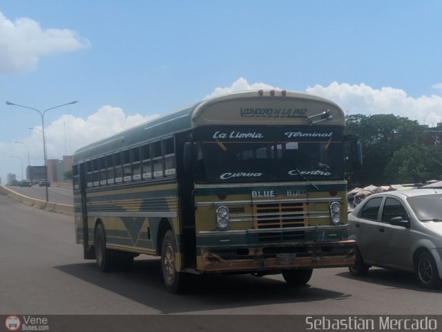 ZU - Colectivos Concepci�n 071 por Sebasti�n Mercado