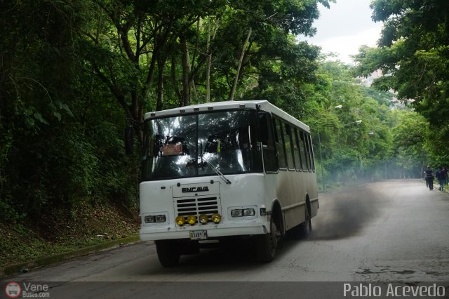 DC - A.C. de Transporte Llanito - Cafetal 54 por Pablo Acevedo