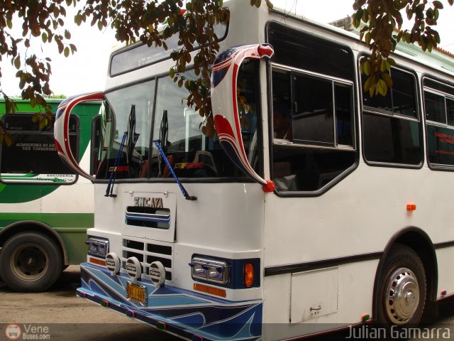 Expresos Pegamar 0038 por Julian Gamarra