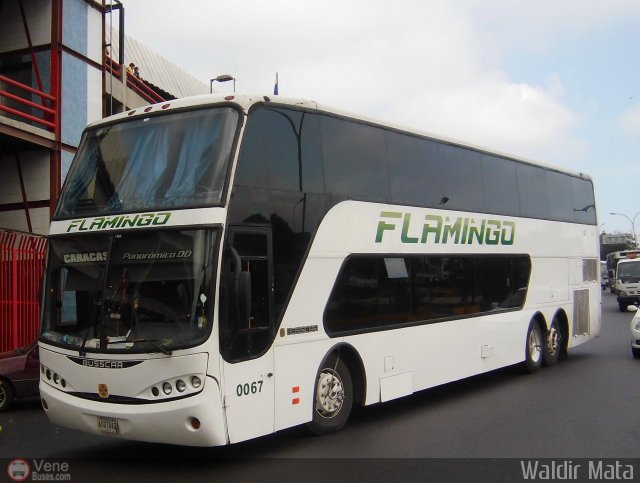 Expresos Flamingo 0067 por Waldir Mata