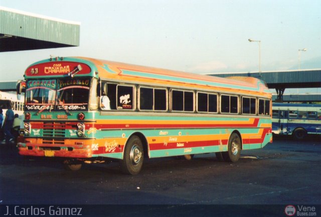 Cooperativa Canaima 43 por J. Carlos G�mez