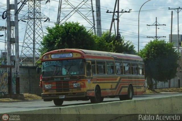 CA - Asoc. Coop. de Transporte La Arenosa R.L. 100 por Pablo Acevedo