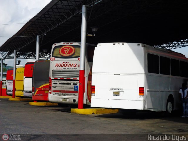 Garajes Paradas y Terminales Carupano por Ricardo Ugas