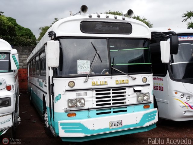 Expresos Bolivarianos 10 por Pablo Acevedo