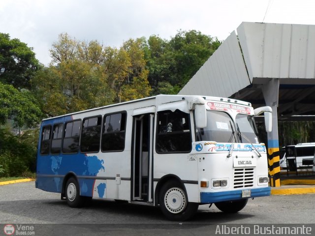 Colectivo Los Andes 06 por Alberto Bustamante