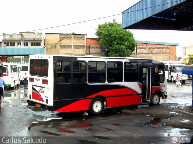 Unin Victoria 12 por Carlos Salcedo