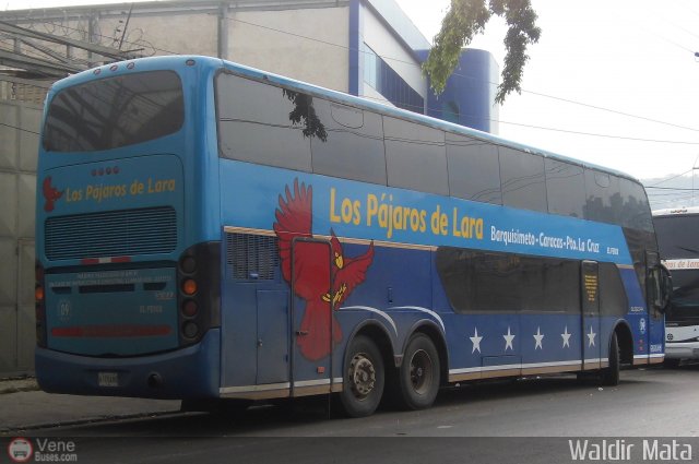 Los Pjaros de Lara 009 por Waldir Mata