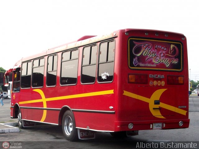 Lnea Los Andes S.C. 036 por Alberto Bustamante