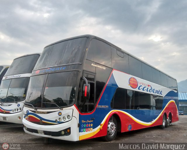 Expresos Occidente 500 por Marcos David M�rquez