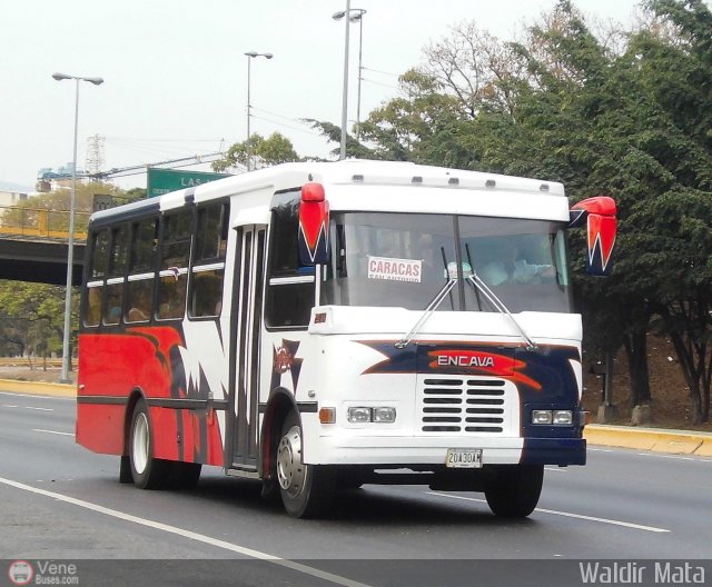 U.C. San Antonio S.C. 231 por Waldir Mata