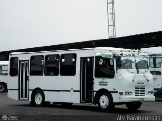 Transporte Virgen del Carmen 13 por Aly Baranauskas
