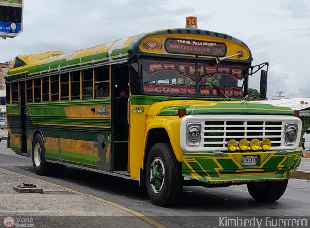 Transporte Palo Negro La Morita 2 026 por Kimberly Guerrero