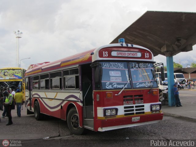 Expresos Continente C-13 por Pablo Acevedo