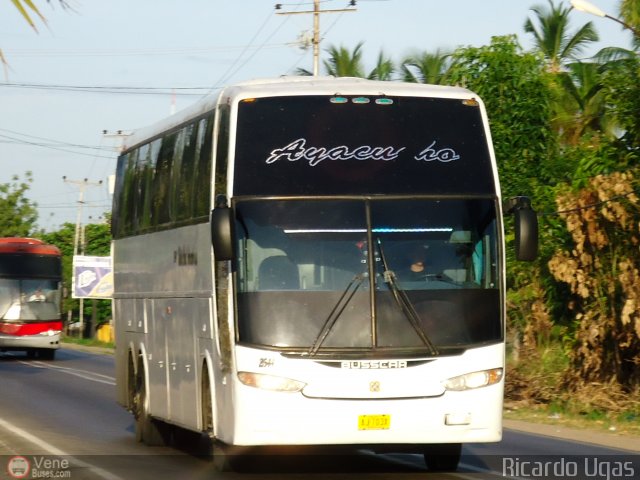 Uni�n Conductores Ayacucho 2544 por Ricardo Ugas