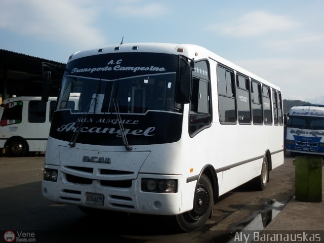 A.C. Transporte Campesino 18 por Aly Baranauskas