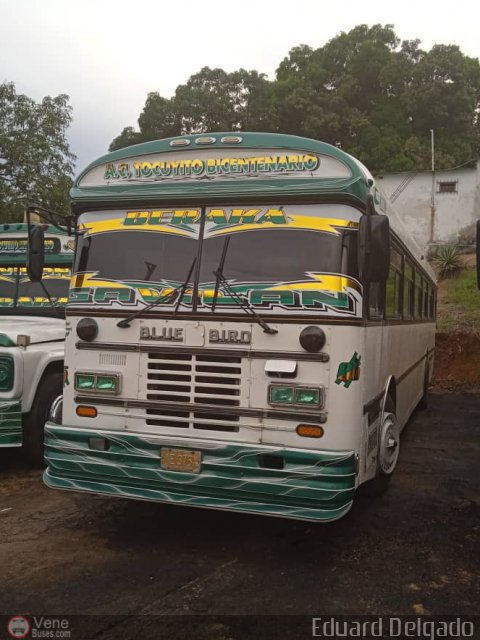 CA - A.C. Transporte Tocuyito Bicentenario 006 por Eduard Delgado