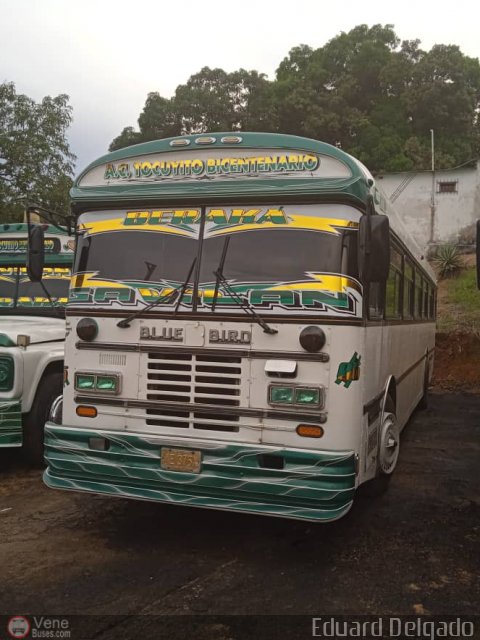 CA - A.C. Transporte Tocuyito Bicentenario 06 por Eduard Delgado