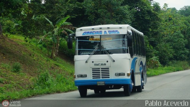 A.C. Transporte Paez 008 por Pablo Acevedo