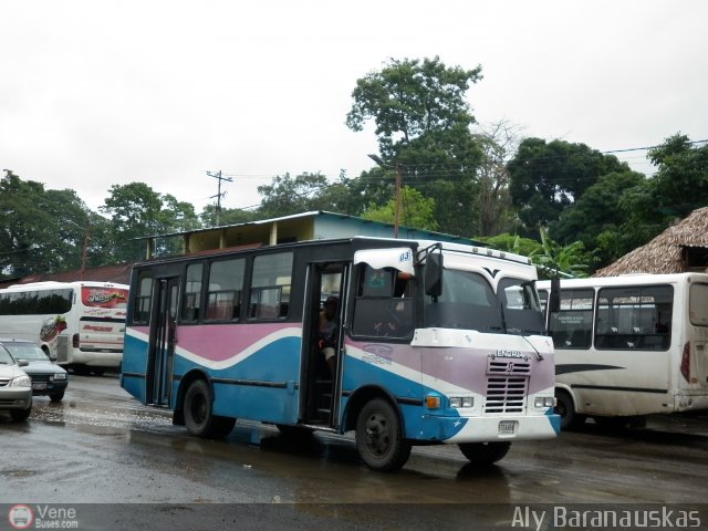 A.C. de Transporte Encarnacin 003 por Aly Baranauskas