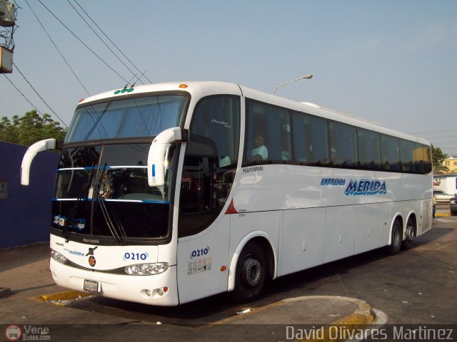 Expresos M�rida 0210 por David Olivares Martinez