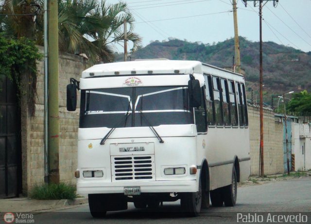 Coop. Transporte Menca de Leoni 102 por Pablo Acevedo