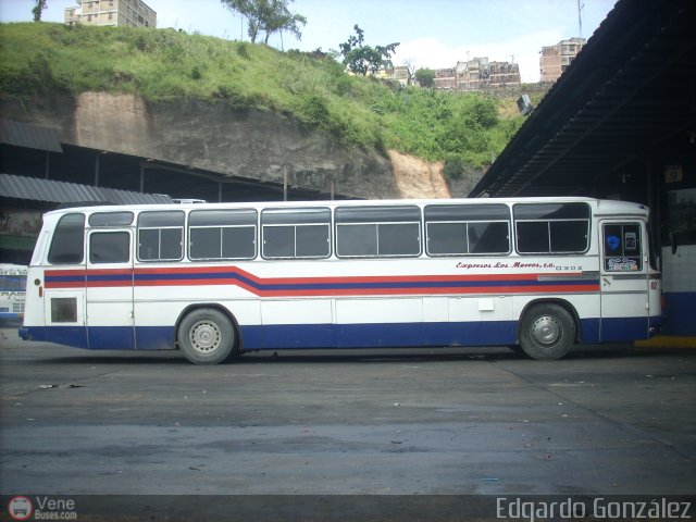 Expresos Los Morros 02 por Edgardo Gonz�lez