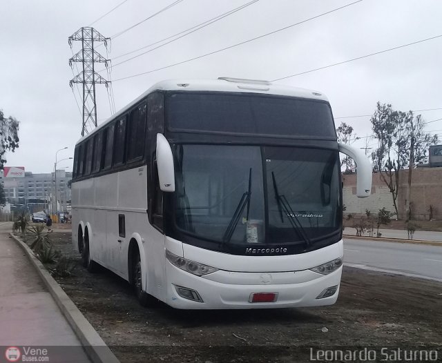 Particular o Desconocido 699 por Leonardo Saturno