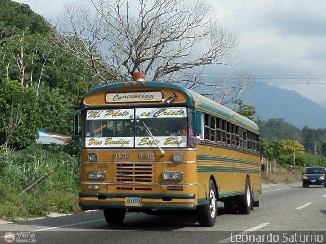 ZU - Colectivos Concepcin 96 por Leonardo Saturno