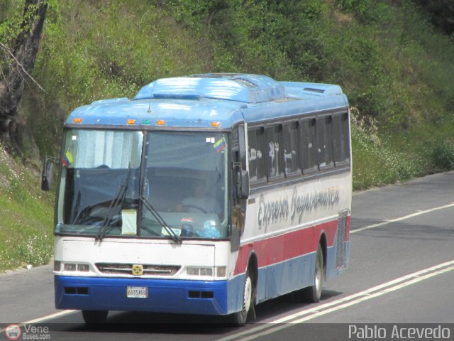 Expresos Bayavamarca 117 por Pablo Acevedo