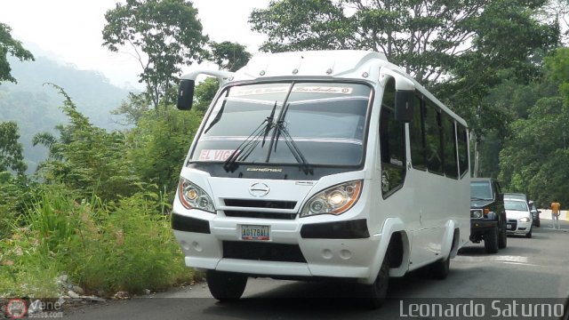 L�nea Los Andes S.C. 013 por Leonardo Saturno