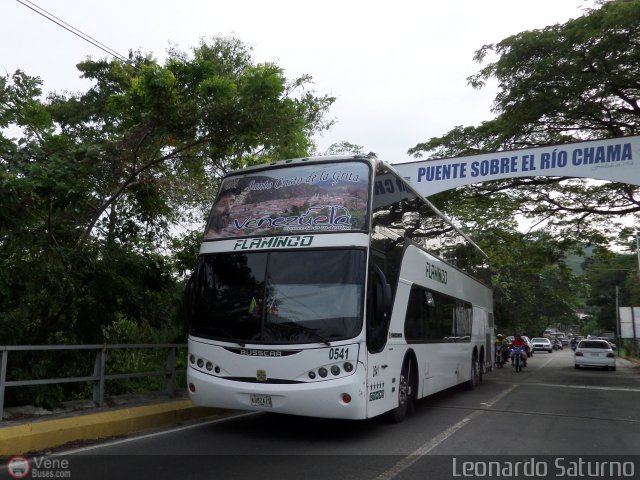 Expresos Flamingo 0541 por Leonardo Saturno