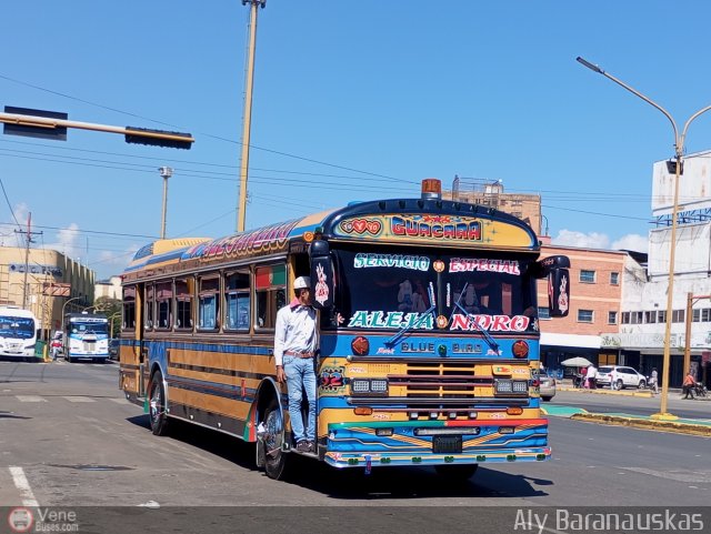 Transporte Guacara 0032 por Aly Baranauskas