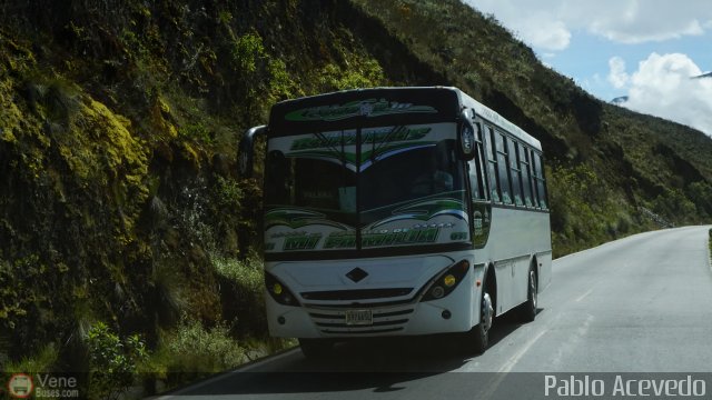 Transporte Barinas 055 por Pablo Acevedo