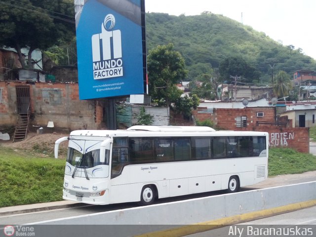 Expresos Pegamar 2023 por Aly Baranauskas