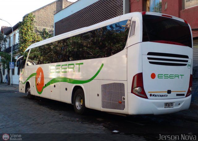 Transportes Esert 316 por Jerson Nova