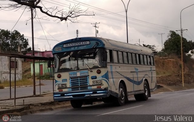 Transporte MaxiPollo 38 por Jess Valero